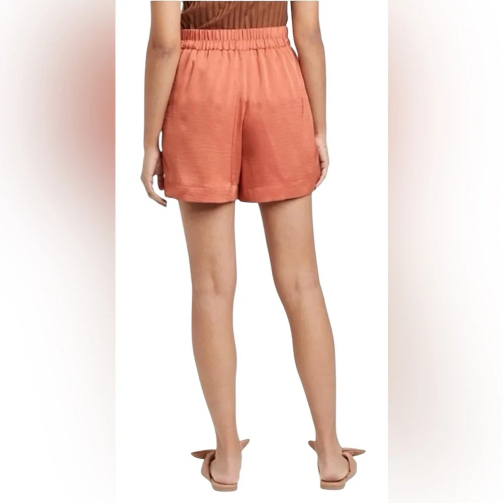 205. a new day Silky Shorts - Picture 2 of 2